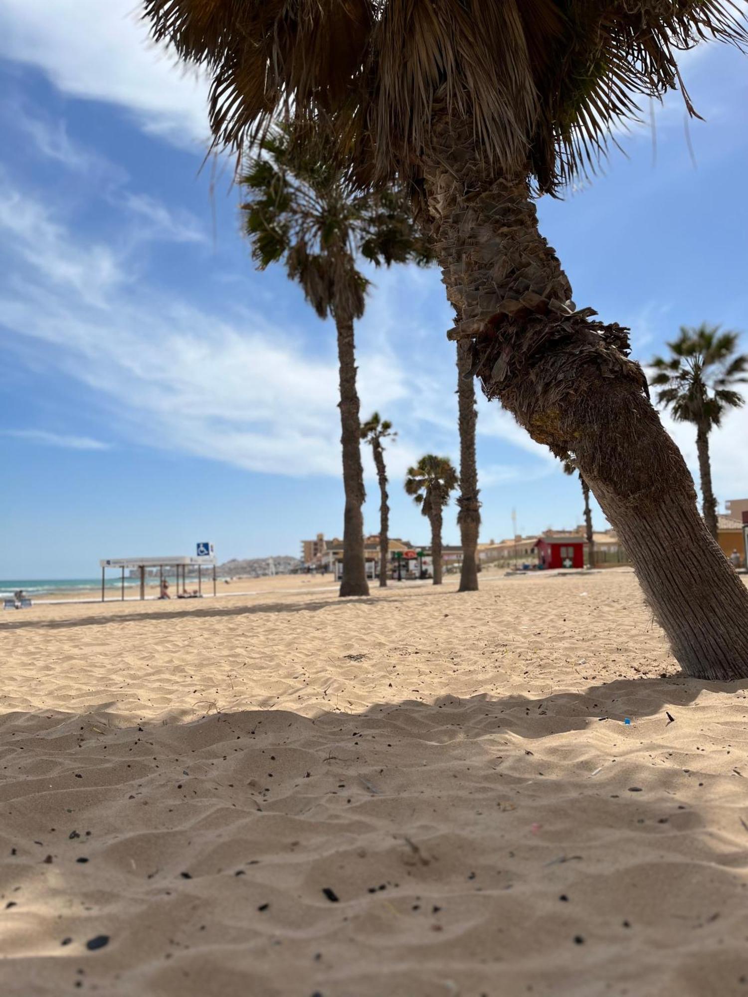 Apartament Sol De Mar, La Mata La Mata  Zewnętrze zdjęcie