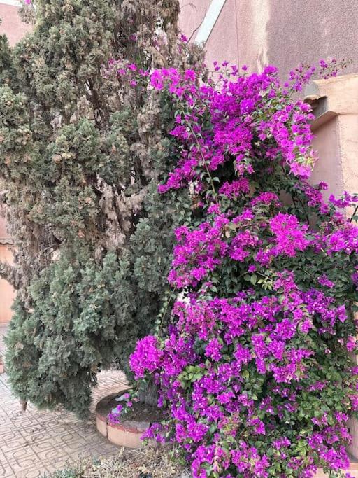 Apartament Sol De Mar, La Mata La Mata  Zewnętrze zdjęcie